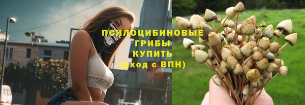 каннабис Гусиноозёрск