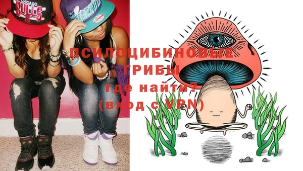 каннабис Гусиноозёрск