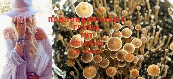 наркотики Гусев